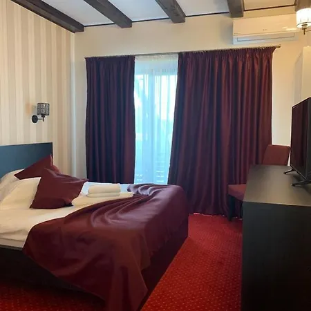 Guest house Pensiunea Andreea 3*